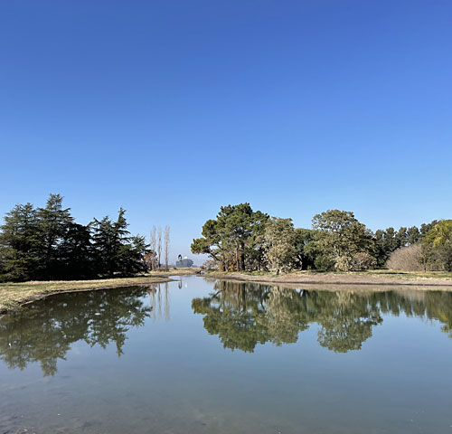 Bellatrix Pond